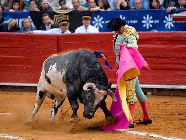 Una ver�nica como Dios manda