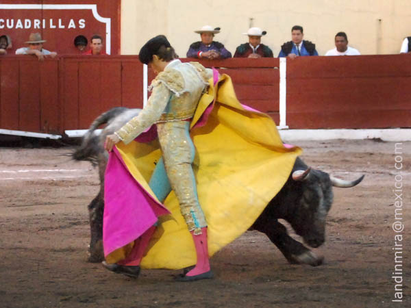 Llev�ndolo al caballo