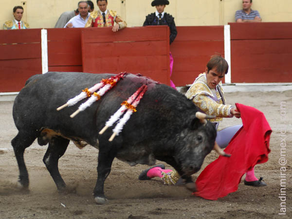 Tirando del ejemplar