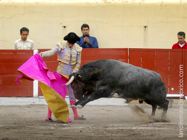 Mac�as, acicateado