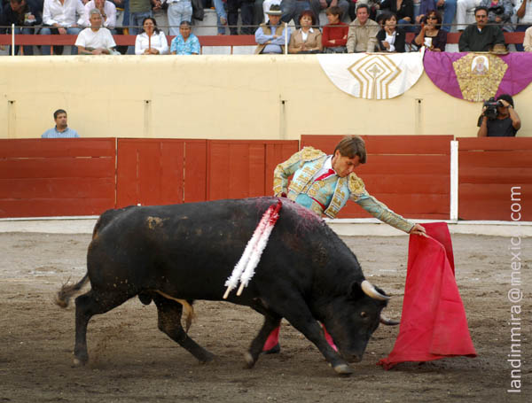 Consintiendo al natural