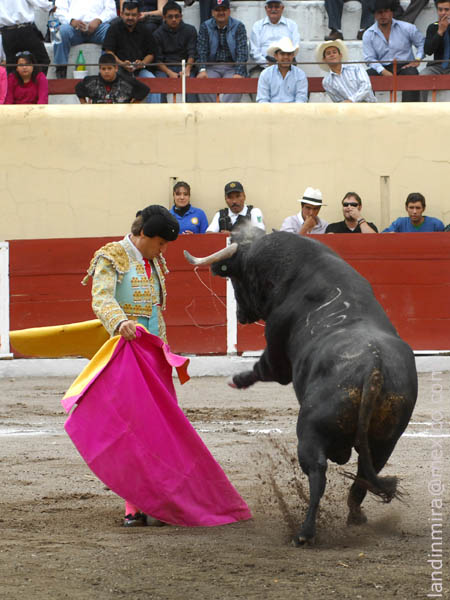 Pies clavados en la arena