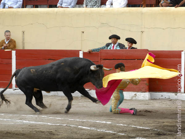 Al hilo de las tablas