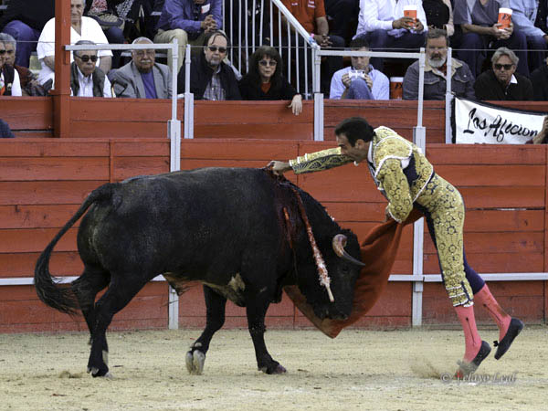 Hasta la empu�adura