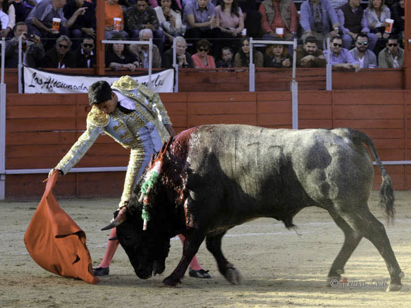Calidad y emotividad