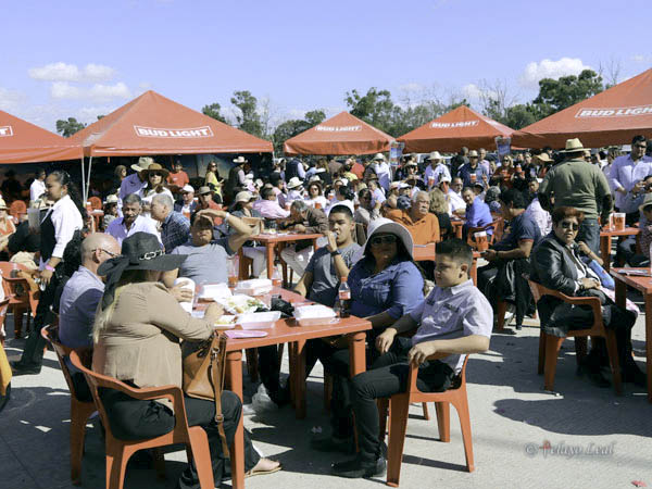 Verbena previa al festejo