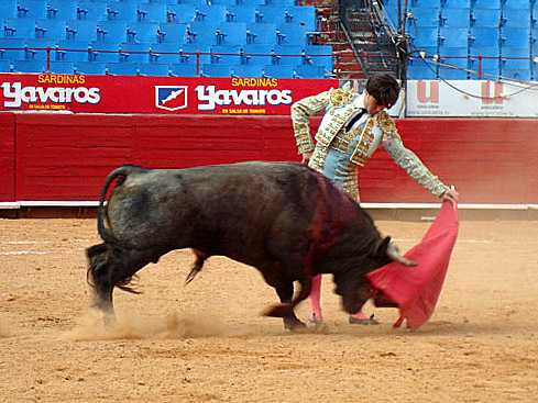 Concierto al natural