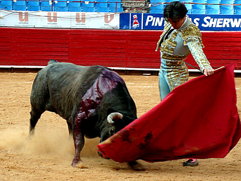 Lo lleva bien toreado