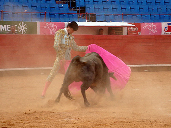 Ver�nica en los medios