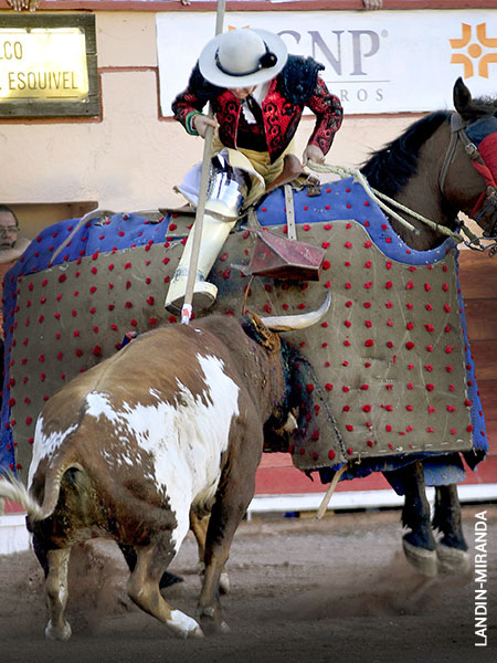 La pelea del berrendo