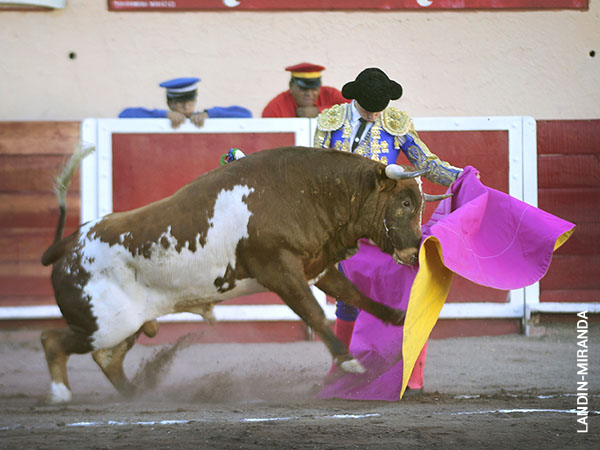 To�ete con el cierraplaza