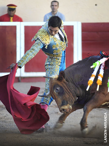 Tirando del casta�o
