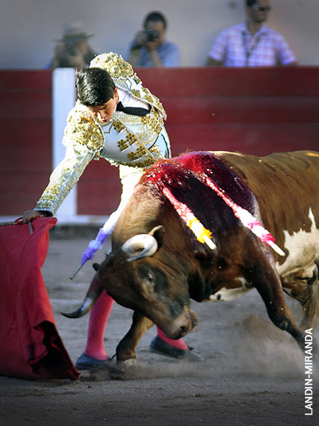 Tauromaquia bien definida