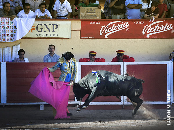 Saludo capotero de Fern�ndez