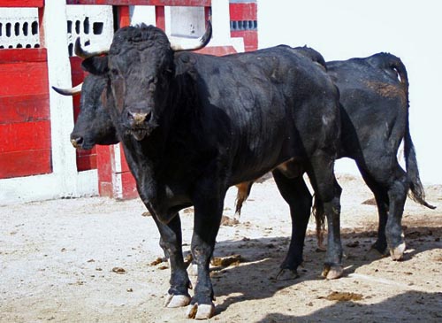 No. 693, con 500 kg.