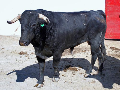 No. 720, con 440 kg.