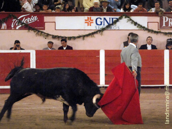 Inicio muy de Alejandro