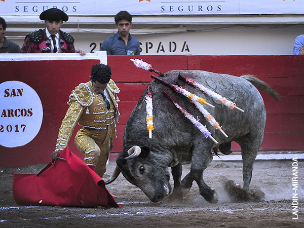 Embest�a con cierta brusquedad