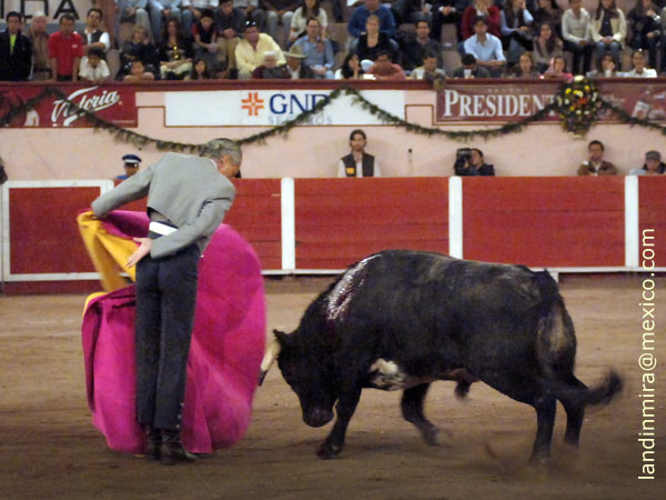 Gaoneras en el quite