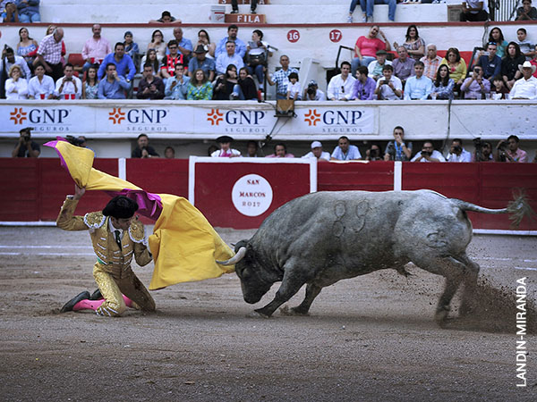 Voluntad de seguir vigente