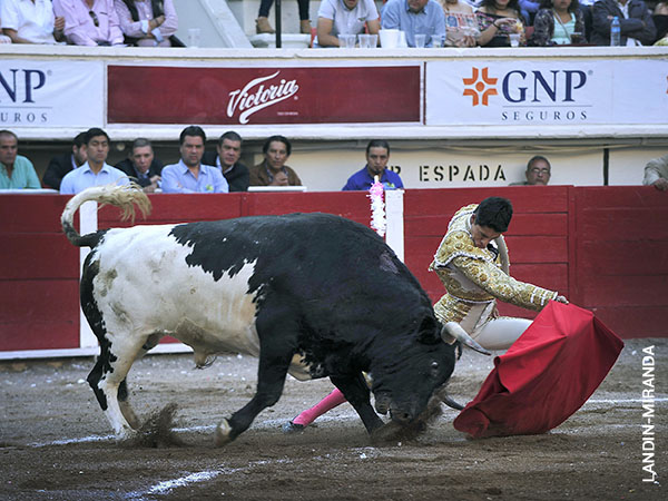 Sali� relanzado del festejo