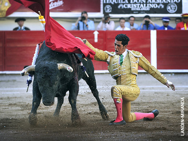 Pasajes rodilla en tierra
