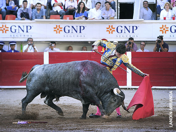 Las hechuras del c�rdeno