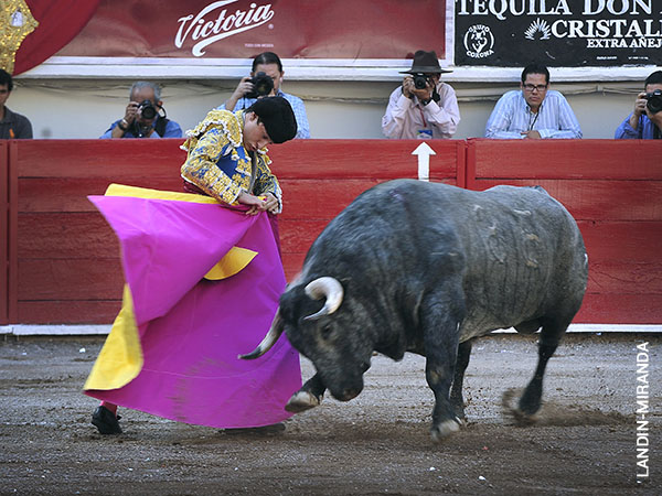 Media de Diego Emilio