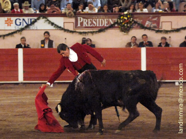 Temple de dinast�a