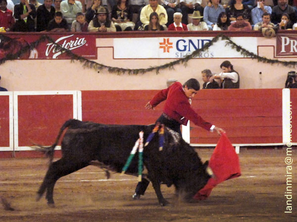 Tirando del ejemplar