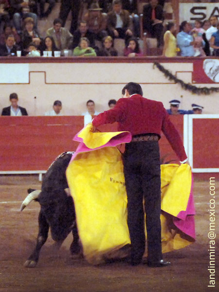 Chicuelinas de Ferm�n 