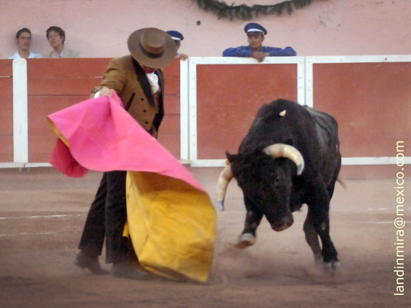 Ver�nicas de Humberto Moro