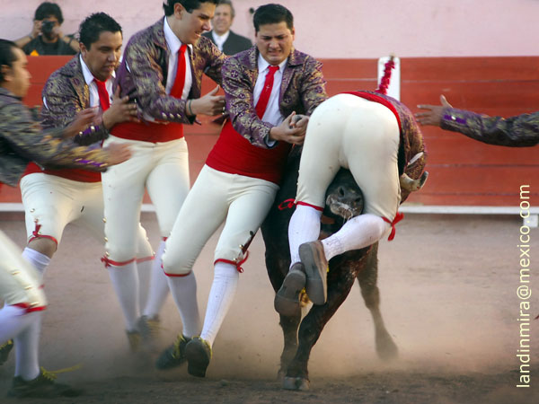 Forcados de Aguascalientes