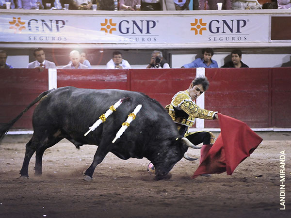 Ese concepto, din�mico y vers�til