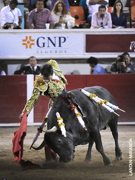 Se afan� en tumbarle la oreja