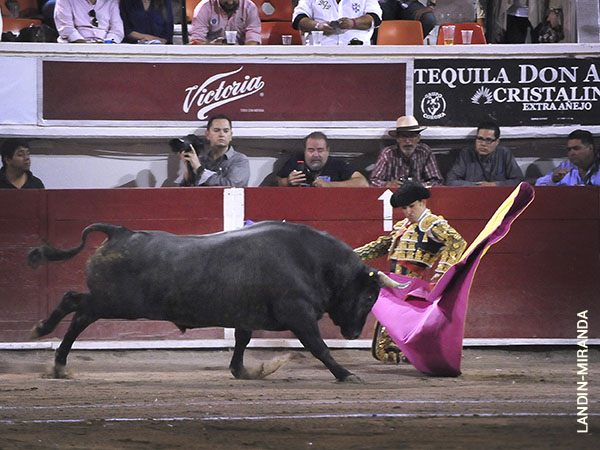 Zapopinas rodilla en tierra