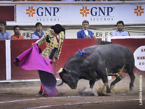 Sergio Flores, acusada solvencia