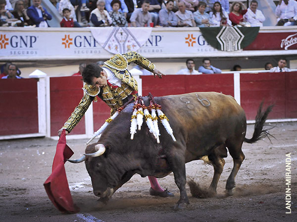 Buena embestida del casta�o