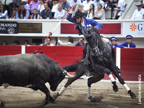 Un ejemplar largo y hondo