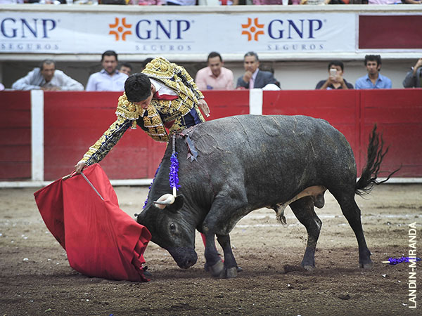 Ejemplar bajo, bien hecho