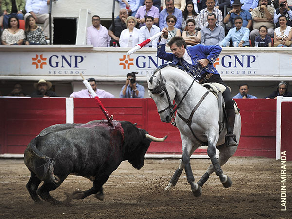 Cl�sico, templado y torero