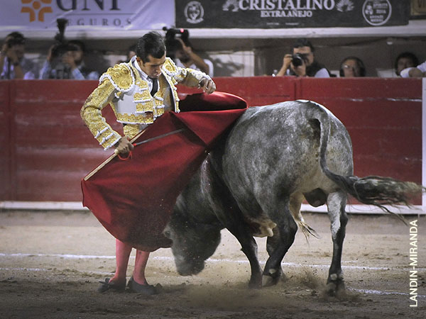 Claridad de ideas y buen gusto