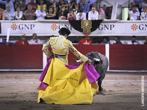 Un sereno andar por la plaza
