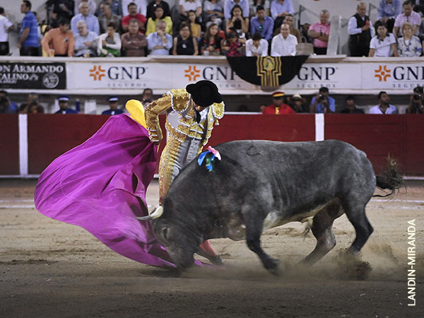 Abrochando el saludo