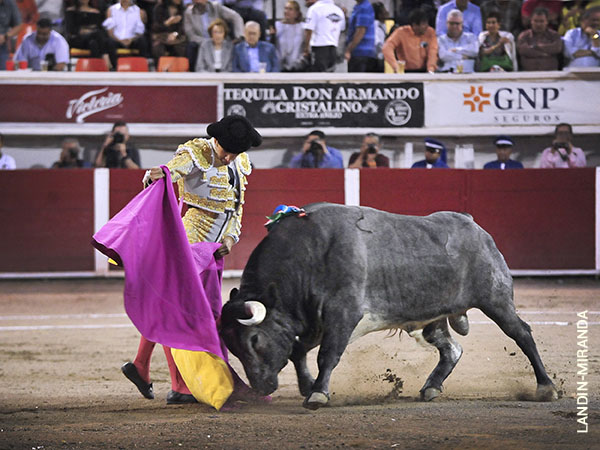 Ver�nicas de terciopelo