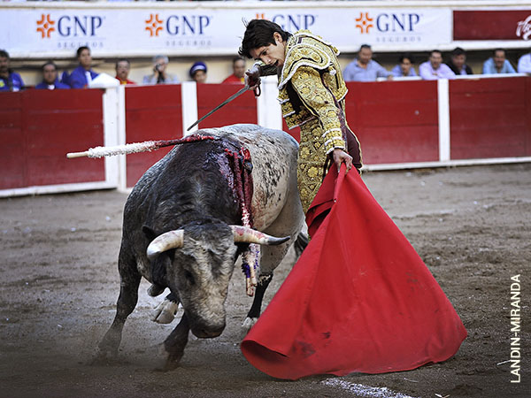 Detalles de inteligencia torera