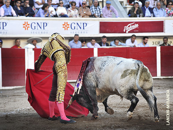 Cuatro a�os de ausencia