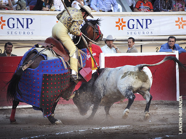 Metiendo la cara abajo