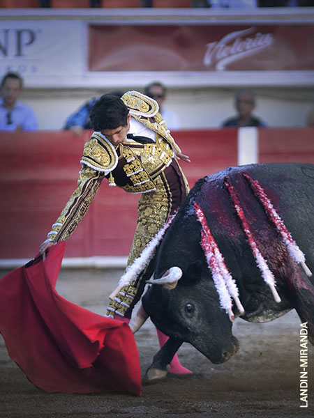 F�rrea determinaci�n