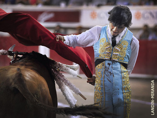 Arrestos y capacidad